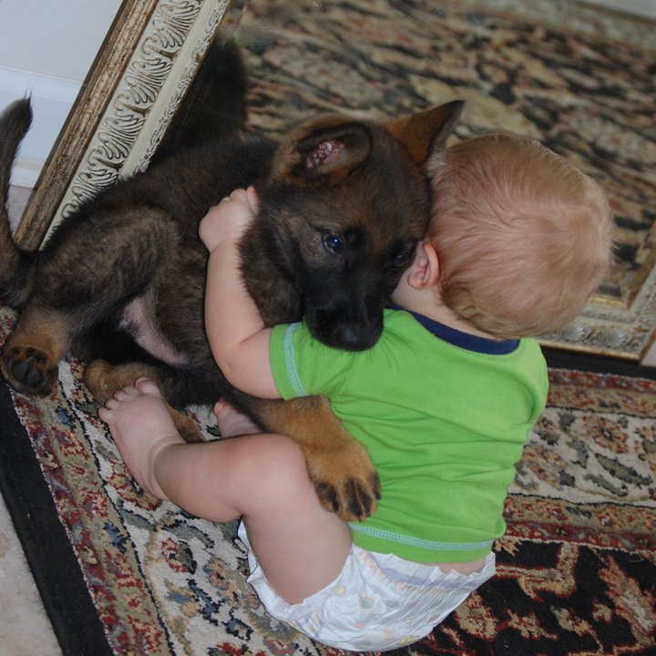 baby and puppy