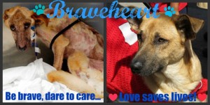 before-after-braveheart