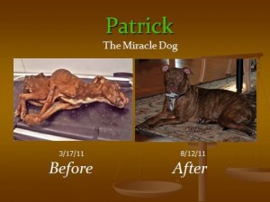 before-after-patrick